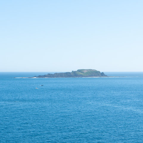 Imagen noticia Izaro, el tesoro escondido de Bermeo